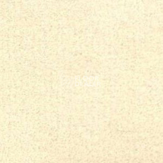 Ковролин Radici Admiral Snow 2225 фото 1 | FLOORDEALER